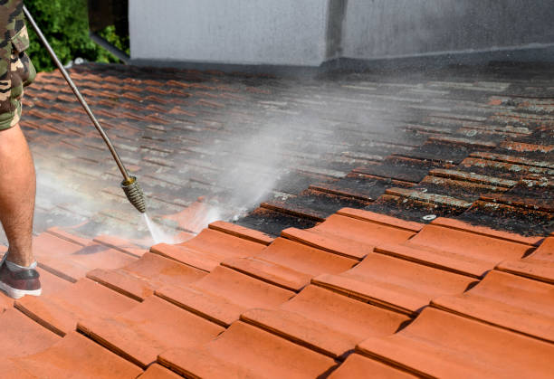 Best Sidewalk Pressure Washing  in North Merrick, NY