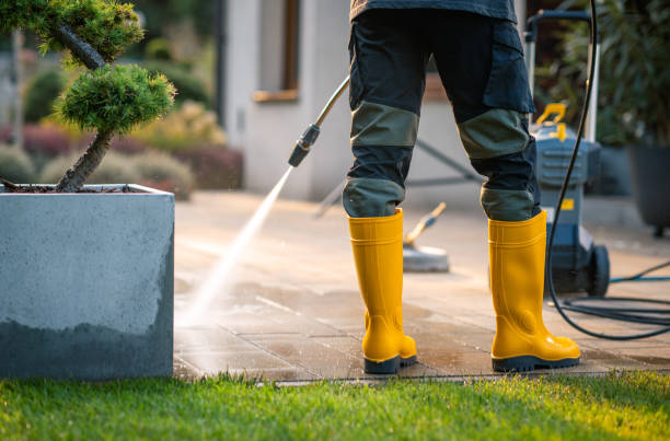 Best Roof Power Washing Services  in North Merrick, NY